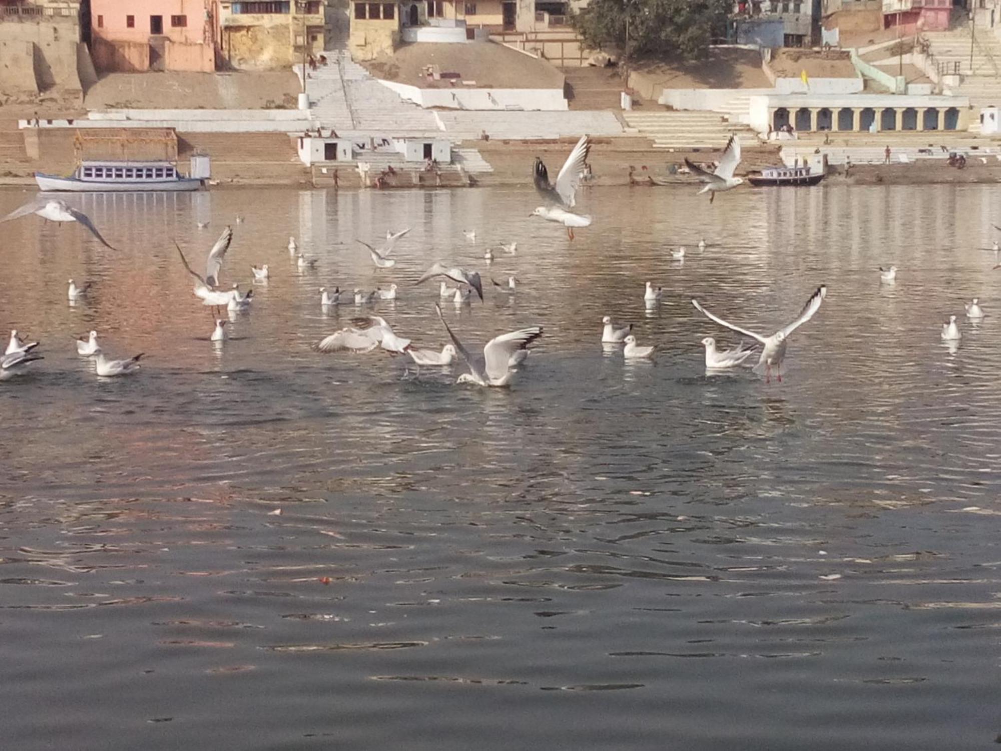 Tandon Lodge On The Ganga Ghat Homestay 瓦拉纳西 外观 照片